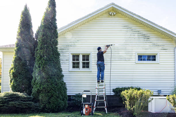 Reliable Magnolia Springs, AL Pressure Washing Services Solutions